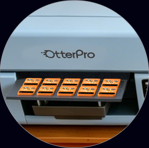 Print your design